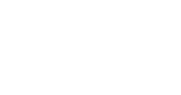 Chiropractic Sparks NV Family First Chiropractic Logo